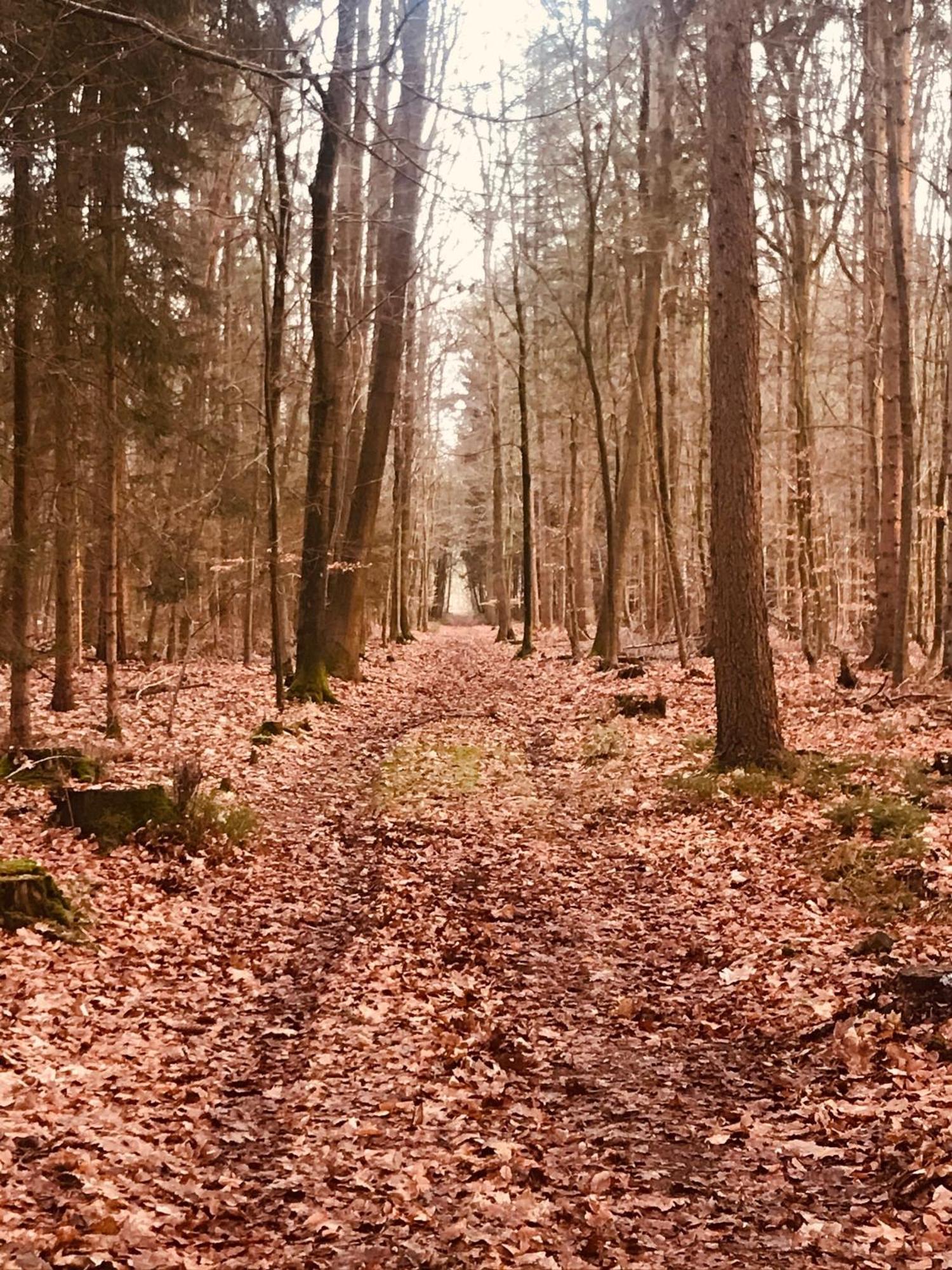 Schoene Auszeit Re14 Sögel Exterior foto