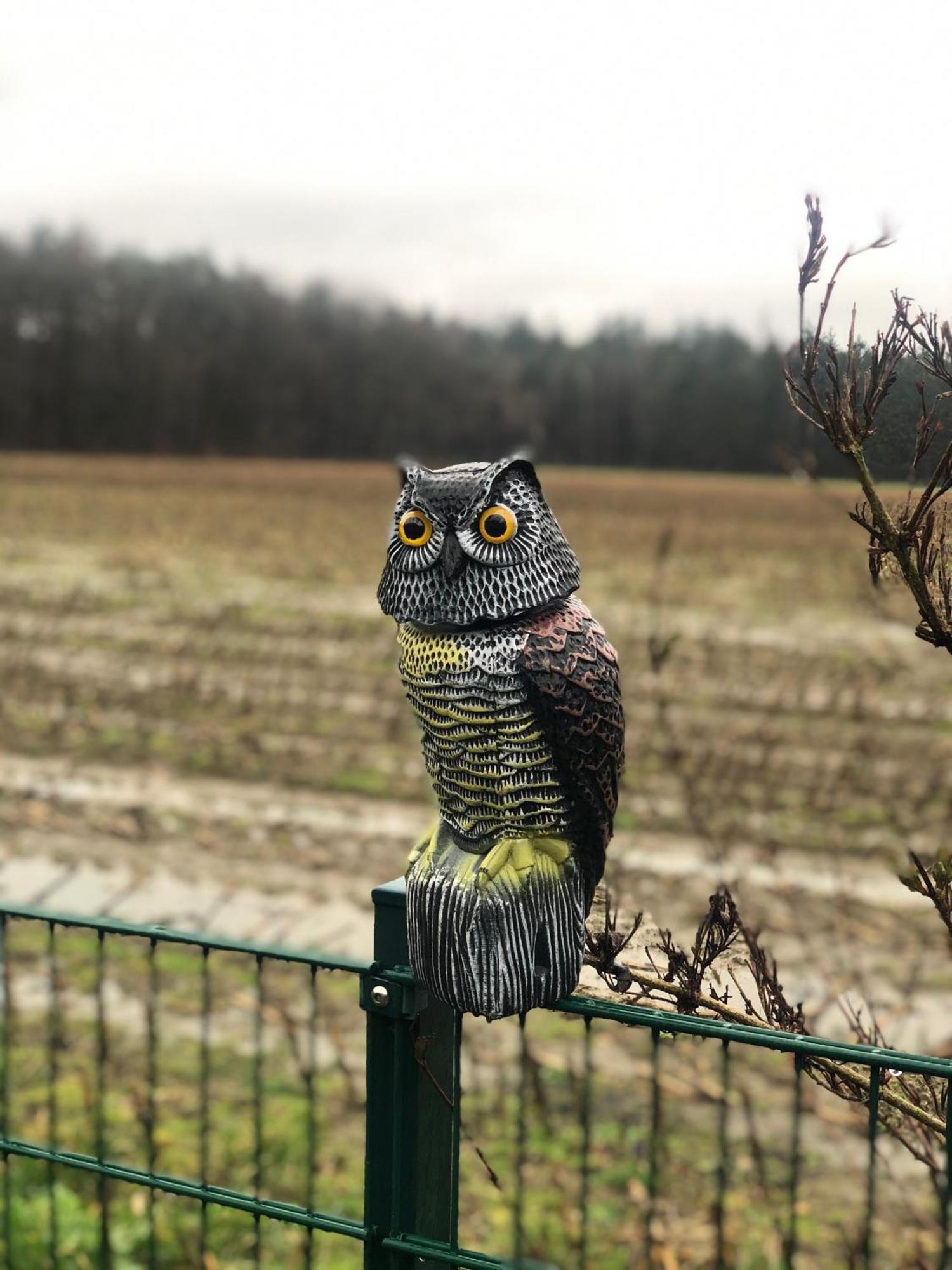 Schoene Auszeit Re14 Sögel Exterior foto